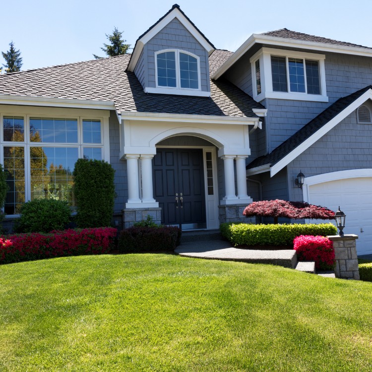 Halo Window Cleaning